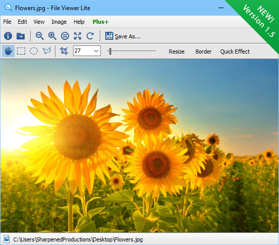 Microsoft windows file viewer